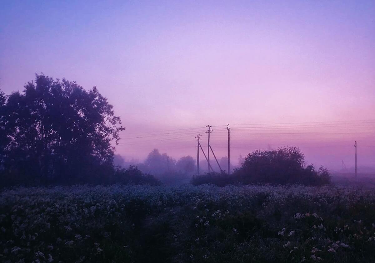大爱天尊蜘蛛池上线